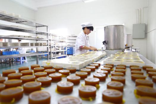 以生物科技为翼，多元布局大健康产业——记一家涵盖研发、生产与创新的综合性企业